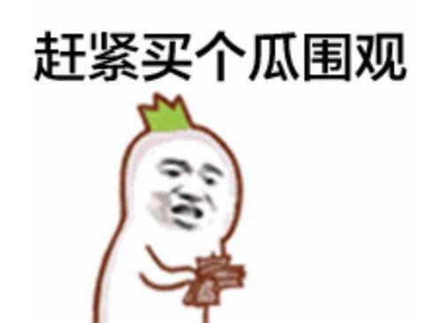 吃瓜群众百度百科下载,揭秘网络围观现象背后的社会心理